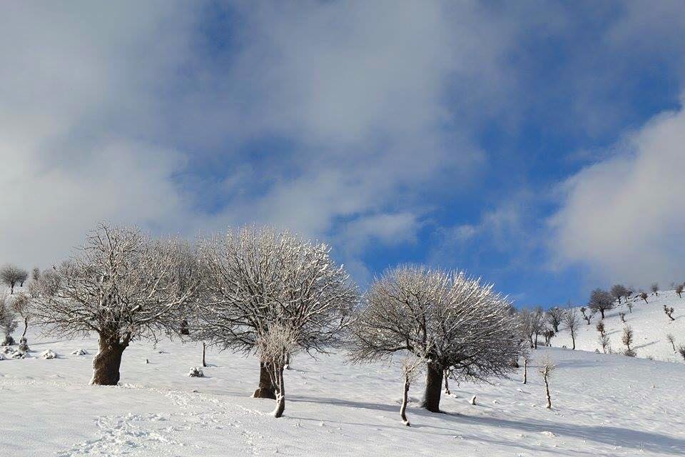 وێنه‌ و ڤیدیۆ.. هه‌ندێك ناوچه‌ی كوردستان دوای بارینی به‌فر